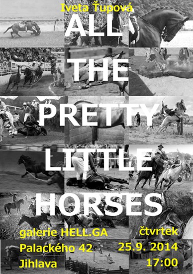 all-the-pretty-little-horses-cernobile-a2a-1.jpg